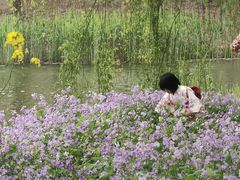 -江南大学(蠡湖校区)