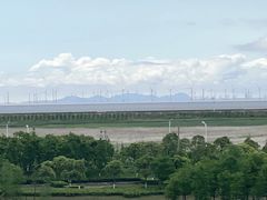 -春花秋色城市公园