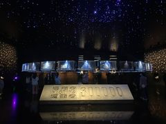 -侵华日军南京大屠杀遇难同胞纪念馆-停车场