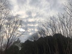 -昆山城市生态森林公园