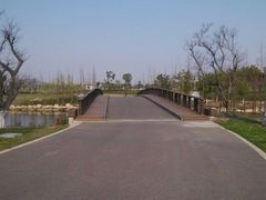 -九里河湿地公园