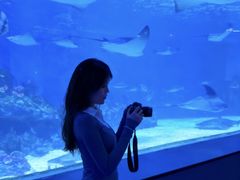 -海合安成都极地海洋公园