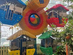 -南宫五洲植物乐园