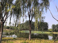 -东郊湿地公园