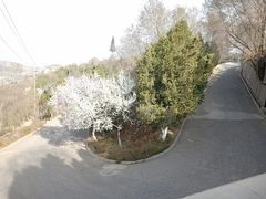 -兰山公园