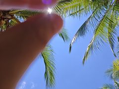 -三亚湾红树林度假世界(木棉酒店)