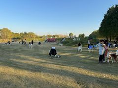 -太阳岛度假酒店