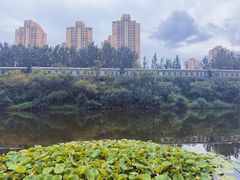 -前关湿地公园