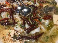 -首秀·四川料理(星耀101店)