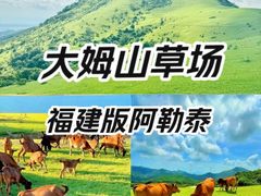 -大姆山草场