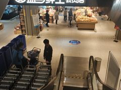 -盒马鲜生(莱蒙都会店)