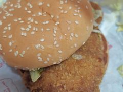 -麦当劳(红旗路店)