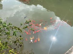 -陶祖圣境风景区