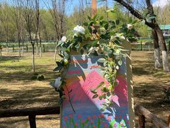 -长白岛森林公园