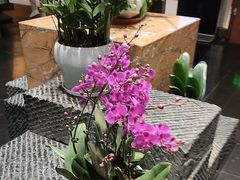 -黔蘑菇四季餐厅(观山湖店)