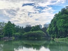 -晓港公园