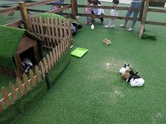 -大族广场Mall&More