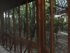 -常州环球恐龙城维景国际大酒店