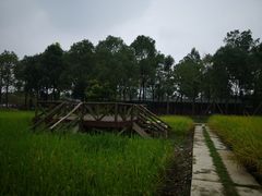 -洪湖家庭农场·团建·露营·会议