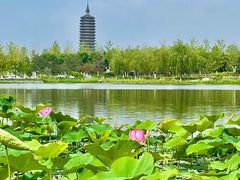 -西海子公园