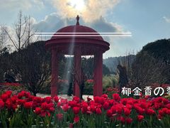 -南山植物园