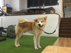 -YCHL Studios健身工作室(市二宫店)