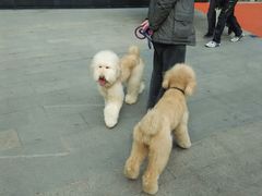 android_upload_pic-日月光中心广场
