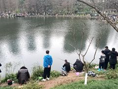 -重庆彩云湖湿地公园