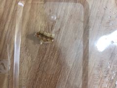 -裕德隆清真饭庄·天津特色菜(河东店)