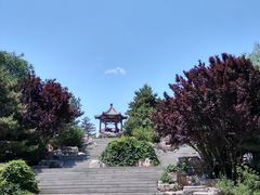 -大兴滨河森林公园