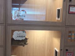 -猫咪博物馆(顶澳仔猫街店)