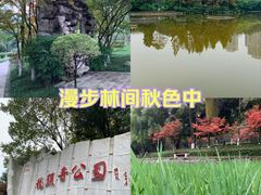 -龙头寺公园