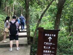 -石台牯牛降景区
