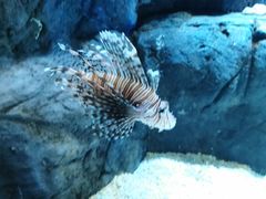 -成都浩海立方海洋公园