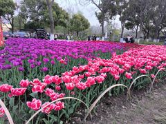 -玄武湖景区-情侣园游乐场