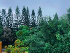 -东山湖温泉度假村