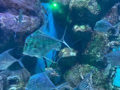 -正佳极地海洋世界