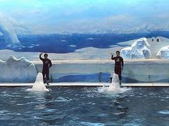 -秦皇岛乐岛海洋王国