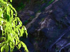 -马峦山郊野公园
