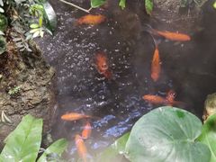 -颐而康·按摩·艾灸·足疗(南岸晶都店)