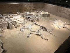 -洛阳周王城天子驾六博物馆