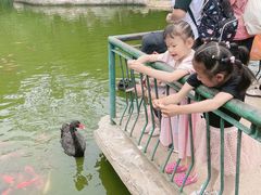 -昆明动物园