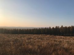 -塞罕坝国家级自然保护区