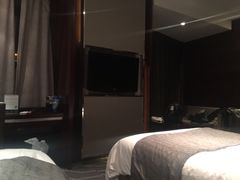 -常州环球恐龙城维景国际大酒店