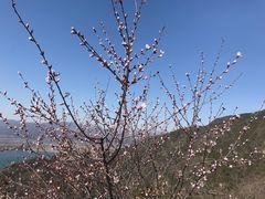 -北京十三陵国家森林公园蟒山景区