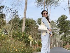 -合肥滨湖国家森林公园