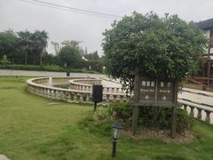 -金山农民画村-枫泾波兰倒置屋