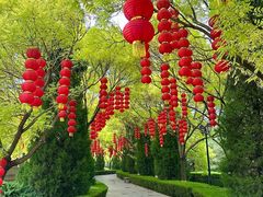 -大槐树寻根祭祖园