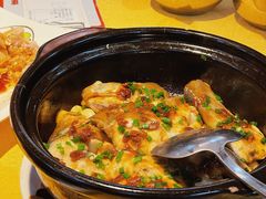 -新高记·粤菜·湛江鸡(南头古城店)