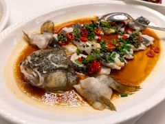 -皇朝尊会(龙之梦大酒店)